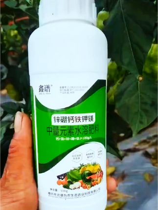 辣椒中后期管理包花包果,促进花芽分化,提高座果率#锌,硼,钙,铁,钾镁#防落果裂果畸形果#三农种植 #好产品大家一起分享
