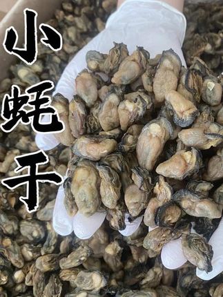 当季生晒的小蚝干, 生晒蚝豉 牡蛎干 海蛎干 广东阳江 肉质新鲜饱满,蚝味香浓,煮汤煮粥煮面炒菜都非常的好吃!#海味干货 #蚝豉 #蚝干粥 #生蚝干 #海鲜原产地