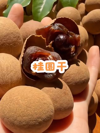 #桂圆干 #龙眼干 #软糯香甜 #桂圆肉干