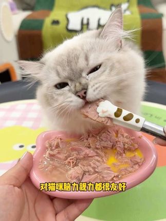 养猫人赶紧冲!!麦富迪小金罐到手足足60罐好划算~ 每罐都是深海吞拿鱼肉搭配慢炖高汤,拿捏挑嘴小猫咪,不爱喝水的小猫也哐哐炫~两个月以上猫咪都能吃#萌宠好物 #抖in萌宠计划#新手养猫 #养猫经验分享