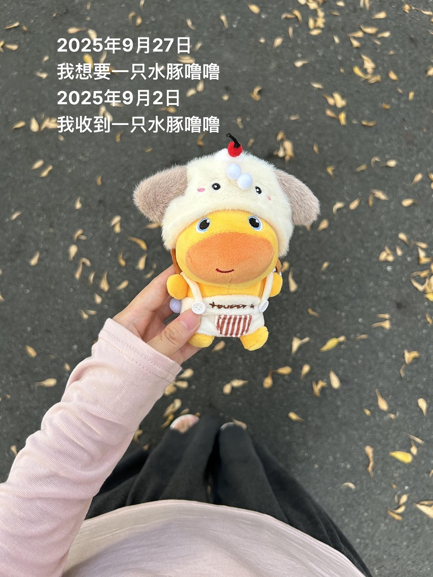 什么都是假嘟。只有好闺闺送的水豚噜噜是真的 #水豚噜噜 #挂件 #阔爱炸了