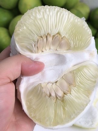安福蚕子最好吃的时候到了,水分非常充足,9分甜1分微苦回甘,皮薄肉厚汁水足,颗颗饱满,吃到嘴巴里面粒粒爆汁哦#优质农产品 #新鲜采摘 #脆甜多汁 #应季水果 #安福蚕子