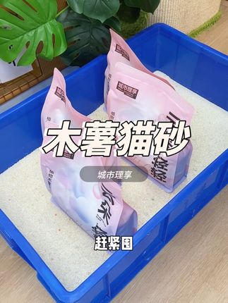 假如猫砂说真话!#猫砂测评 #萌宠好物 #猫砂