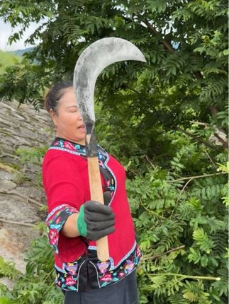 锻打夹钢弯刀柴刀割草刀#弯刀#镰刀#柴刀#割草刀#大字刀具