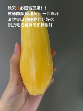 秋天🍂必囤雪莲果!!皮薄肉厚,脆甜多汁,一口爆汁!清甜爽口,嘎嘣脆的巨好吃😋削皮吃或者煲汤口感都超好吃~#新鲜采摘 #应季水果 #雪莲果#天山雪莲果