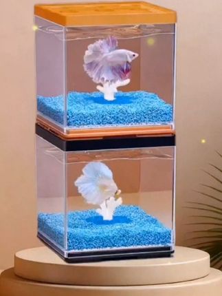懒人斗鱼缸,便宜又好养! 想养斗鱼怕麻烦?进口透明缸+积木拼装,价格超香,冲就对了!#桌面小造景 #治愈鱼缸 #平价斗鱼缸#宠物作者激励赛 #无限回购的宝藏单品 #平价斗鱼缸