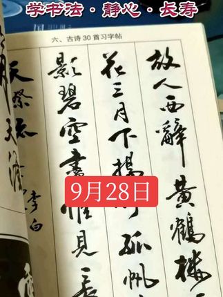 行书入门字谱,卢定山著,行书入门技法,诗词章法指导 #行书