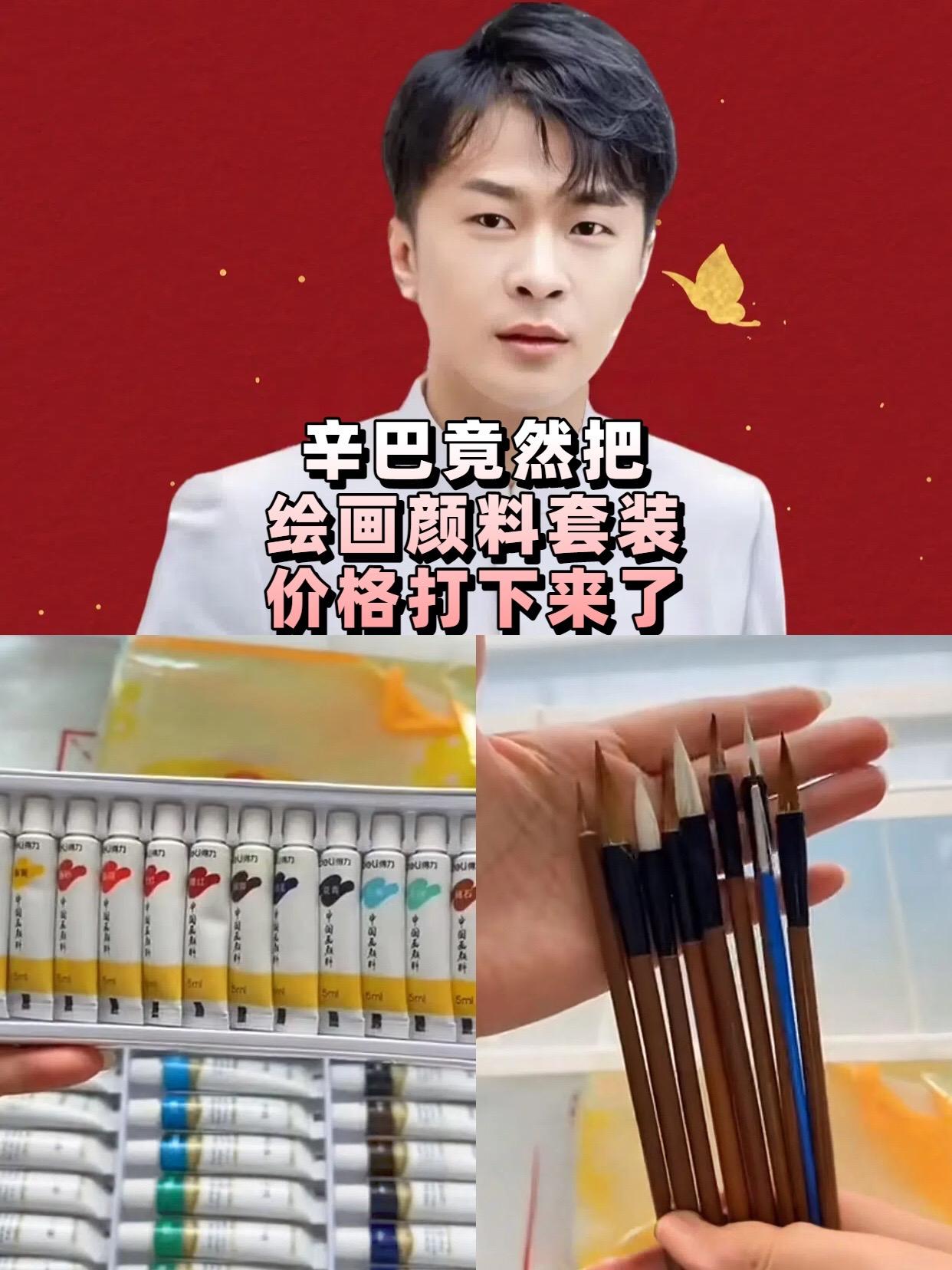 辛巴推荐得力国画中国画颜料套装成人绘画画画初学者国画颜料国画套装颜