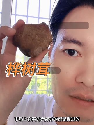 老把头和老解常年喝的长白山桦树茸,无添加,无提取#桦树茸 #桦褐孔菌 #老把头和老解 #大美丽#罗凤魁