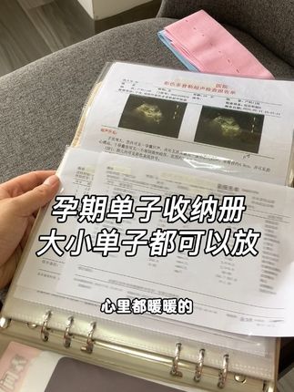 #怀孕 后单子多,备一件#产检收纳册 可以把我们孕期的单子按时间顺序放好,查找起来也方便,贴上项目贴纸查找起来一目了然#孕期 #孕检收纳册 #产检一路绿灯