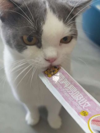猫咪超爱吃的零食,10条只要2.98元