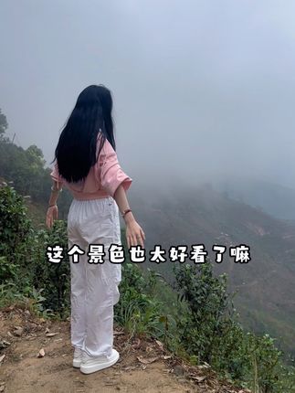 #普洱茶 如果你也喜欢这种感觉,今天秋天一定要来,我在冰岛等你。#冰岛老寨