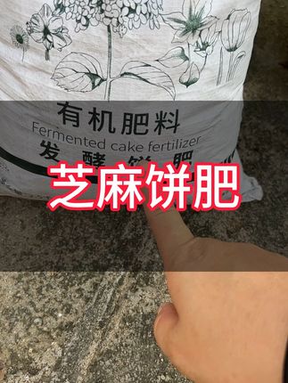 芝麻饼肥,操作简单,容易溶解,肥力更长久,#楼顶种植#芝麻饼肥