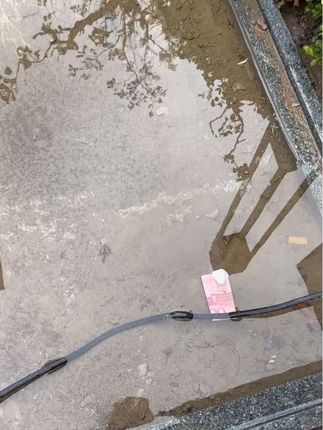 下雨天还是比较适合外出溜达溜达的#日常分享 #遇到凡事不要慌
