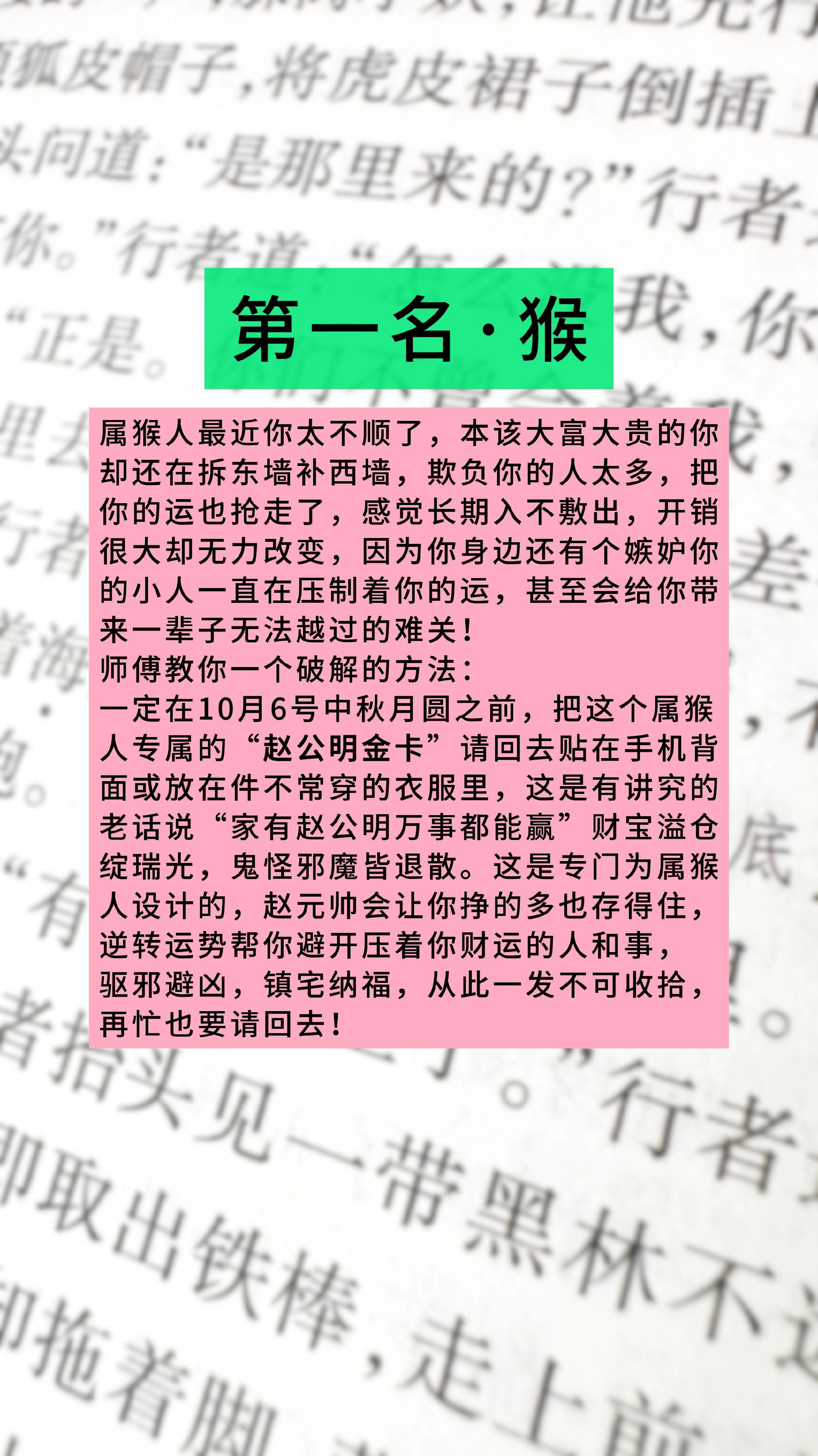#猴 #属猴 #生肖猴