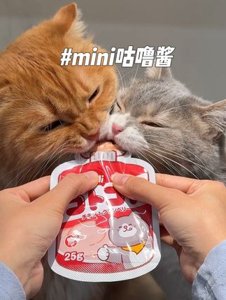 地狱厨房新出的mini主食咕噜酱也太懂小鸟胃猫咪了,#养猫新手 #咕噜酱 #地狱厨房