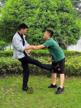 #黑龙十八手 野马奋蹄#防身术 #军警格斗