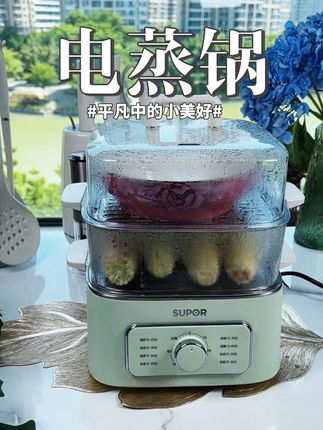 适合小家庭的小容量电蒸锅#厨房好物 #电蒸锅#早餐蒸锅 #蒸锅#厨房小家电
