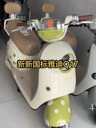 新新国标雅迪Q17它来了,喜欢的欢迎进店选购#电动车 #雅迪 #新新国标电动车