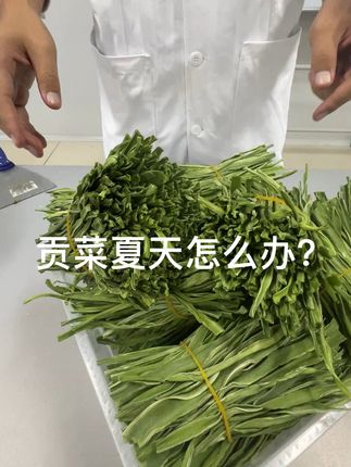 评论去求助!夏天贡菜怎么办? 现在全国都零上35度的高温,贡菜都要顶不住了!大火觉得应该用什么办法才能让贡菜在发货途中保存更好?评论区告诉我们!#贡菜干 #贡菜干的晒制方法 #贡菜 #新疆包邮 #贡菜的家常做法
