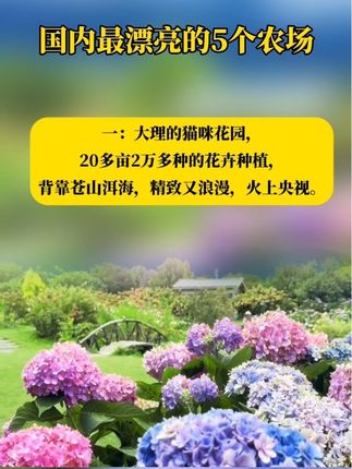 国内场景最漂亮的五个农场值得学习#乡村振兴#农村#农场#休闲农业