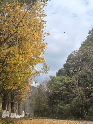 不管男生女生,都要对自己负责!多留个心眼没错的!