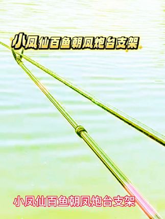 #小凤仙百鱼朝凤炮台支架#碳素材质#羊角头八个粒螺母#可伸缩后挂还带硅胶套防滑耐磨#炮台支架推荐