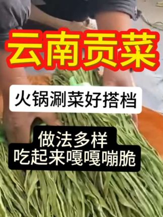 #绿色食品 #纯天然绿色食品 #无公害蔬菜 #看过来