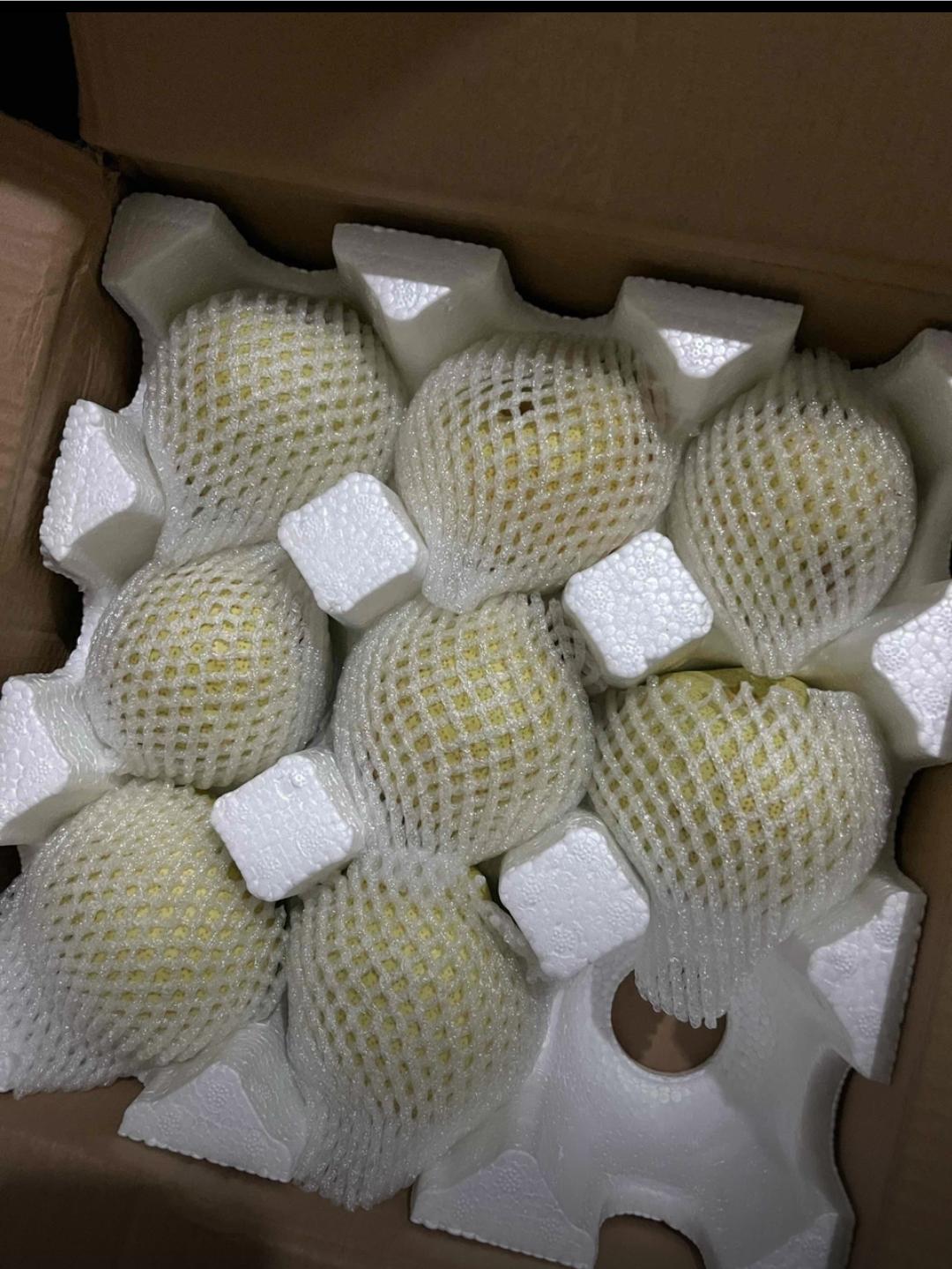 砀山梨鲜甜多汁#强烈推荐 #应季水果 #优质水果 #新鲜水果 #助农水果 @上热门🔥🔥🔥 @DOU+小助手