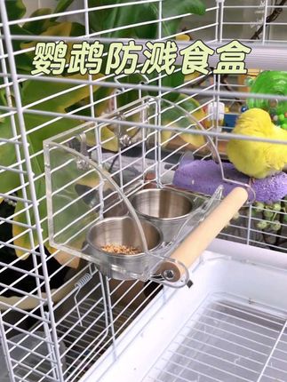 鹦鹉防溅不锈钢双食盒 有了这款食盒呀,我都省的打扫卫生了,三面围挡的设计谷子也撒不出来,可拆卸的不锈钢食盒,清理方便,关键是颜值高呀,真心推荐!#鹦鹉防溅食盒 #鹦鹉日常 #鹦鹉防溅双食盒 #鹦鹉不锈钢食盒