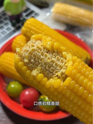 十月稻田黄糯玉米!又嫩又糯,巨好吃#头茬玉米 #十月稻田 #嘎嘎香