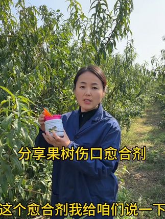 分享一款我自己使用多年的,果树伤口愈合剂,#愈合剂 #果树管理 #农业种植