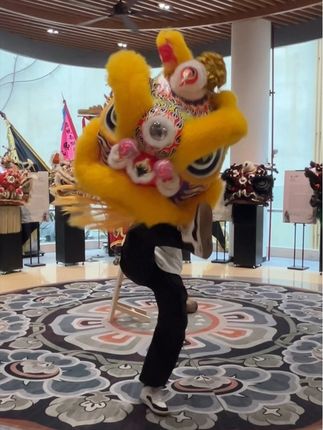 醒狮博物馆 阿锦肥豪带你一起逛广州天河的舞狮馆#醒狮博物馆 #传统狮 #跳动大狮 #非遗传承