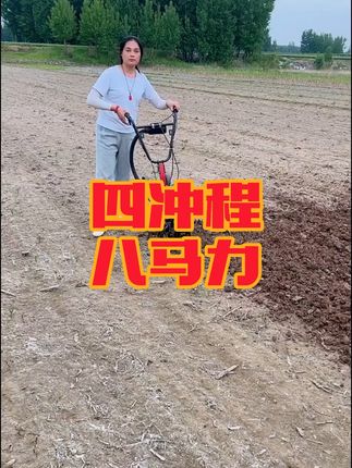 可以松土开沟,除草犁地,一机多用型的小型汽油微耕机,整机重量25公斤,老人女士都可以轻松操作,顺丰包邮到您家。#一机多用省时省力省人工 #一份耕耘一份收获 #现代化农业 #微耕机 #开沟机