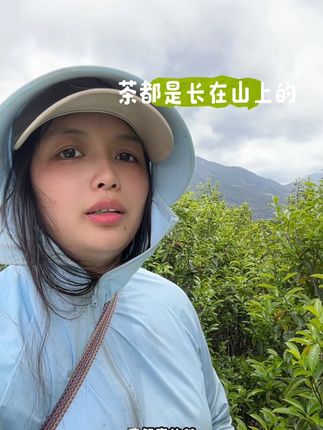 #茶生活 #大山里的原生态 #自家茶园 #爱喝茶的关注我 #茶园风光