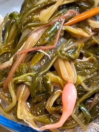 夏天最爱的萝卜酸#分享家乡美食 #每日分享 #太好吃了 #下饭菜 #家乡特色