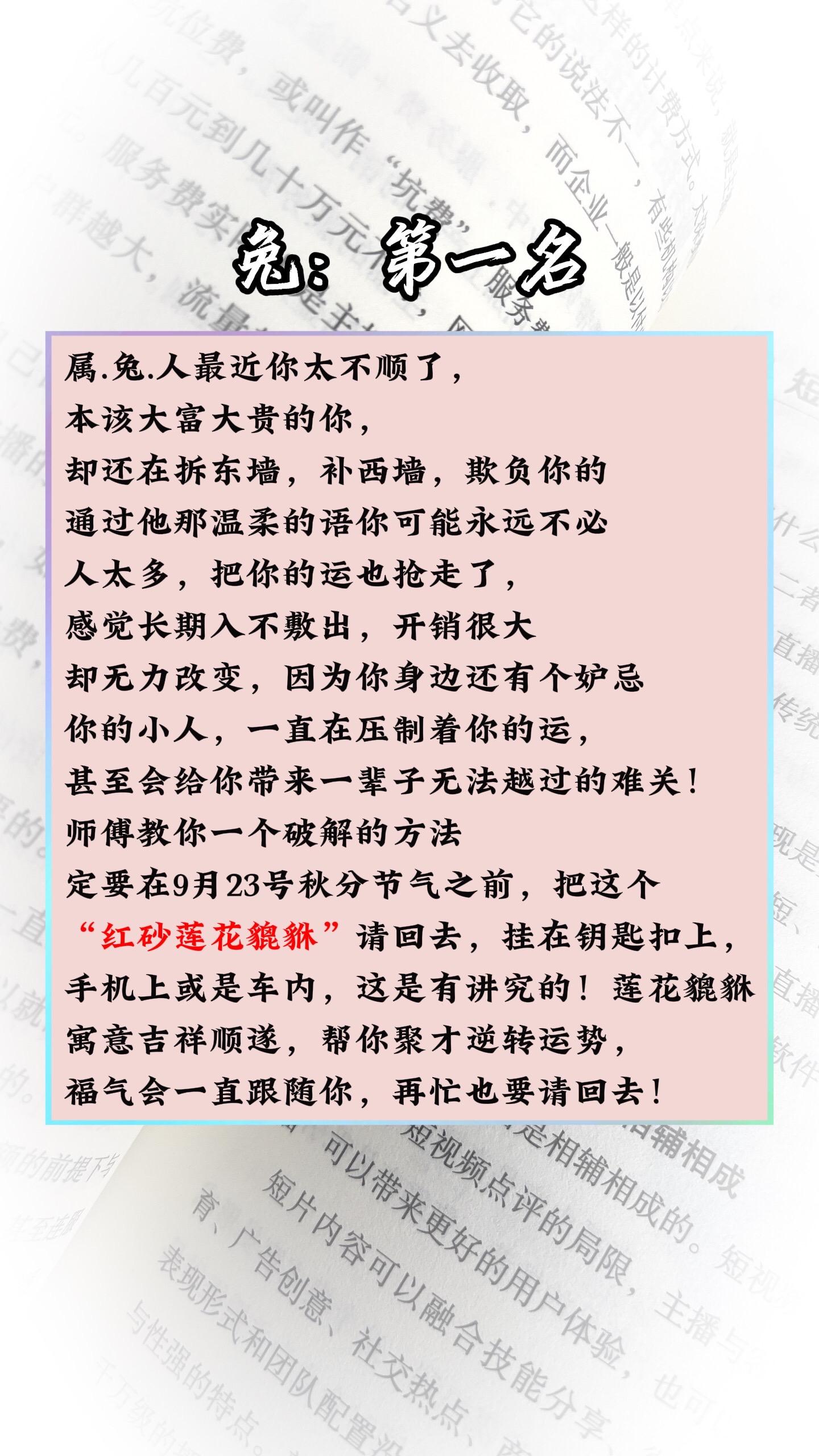 #属兔 #兔 #生肖兔