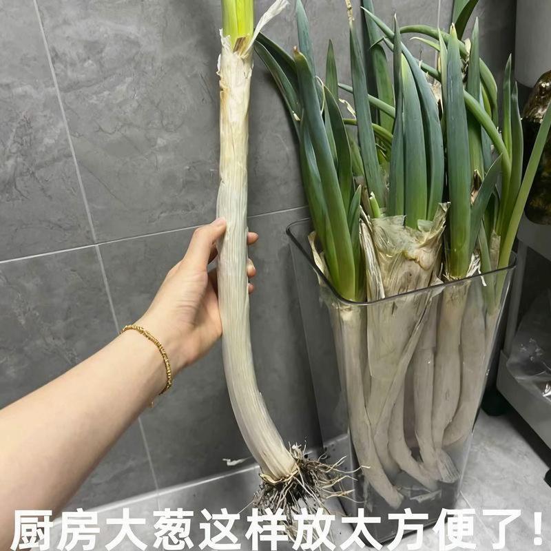 #厨房收纳 #厨房好物