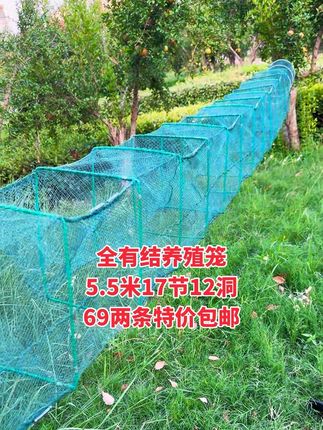 #虾笼 #养殖网 #户外捕鱼 #鱼虾蟹养殖 #捕鱼网笼推荐@DOU+小助手