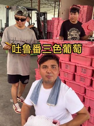 来来来朋友,吐鲁番三种葡萄快来品尝一下 #优质农产品 #吐鲁番的葡萄熟了 #出发去新疆啃瓜果 #新疆沙力 #我在吐鲁番 @网信吐鲁番