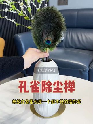 用它干家务感觉都变的优雅起来了~真的一个精致的干活小帮手#鸡毛掸子#除尘掸子#扫灰神器掸子#适合放在客厅的摆件推荐