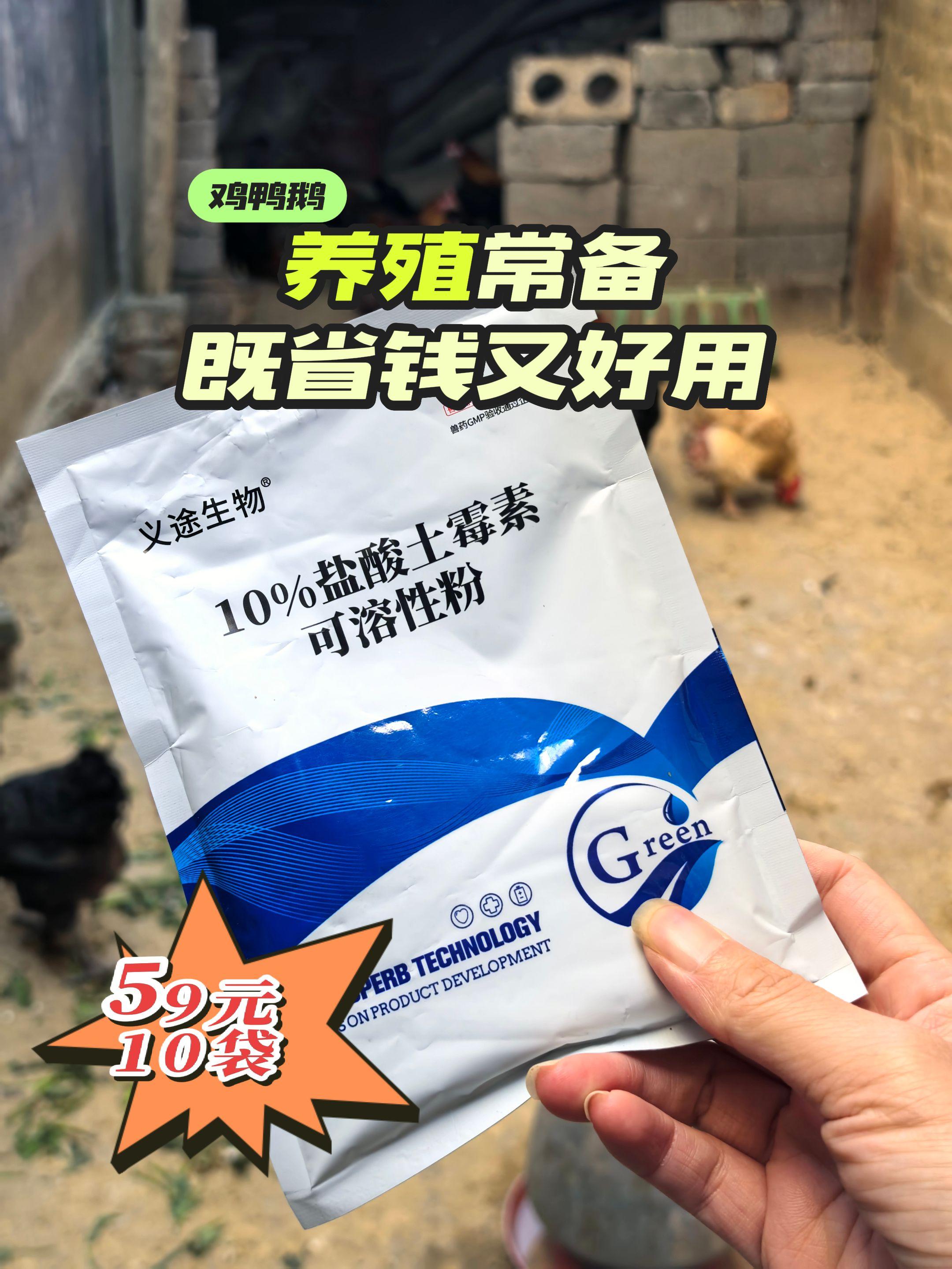 #养鸡 #养鸡人 #鸡鸭鹅养殖 #家禽养殖 #抖音养鸡人