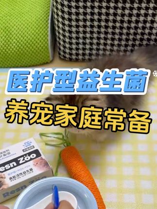 养宠家庭必备!医护型高能活性益生菌#科学养宠攻略 #养猫新手 #宠物科普 #萌宠好物 #宠物知识