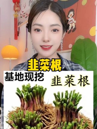 #韭菜根 #基地直发 #紫根宽叶韭菜根 #韭菜种植 #好东西一起分享