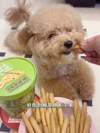 哈派新品奶酪脆脆棒来噜,磨牙解馋的同时还能补钙~#小馋狗#当你有只嘴馋小狗#狗狗零食推荐 #萌宠好物 #狗吃的比我好系列