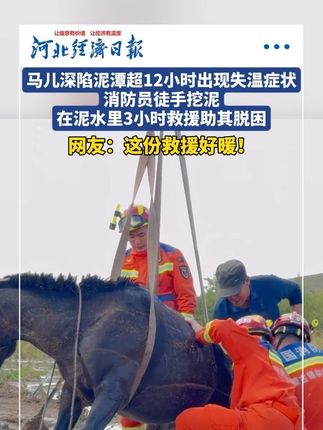9月13日,内蒙古。马儿深陷泥潭超12小时已出现失温症状,消防员徒手挖泥,在泥水里3小时救援助其脱困。(央视新闻、奔腾融媒、锡林郭勒消防)