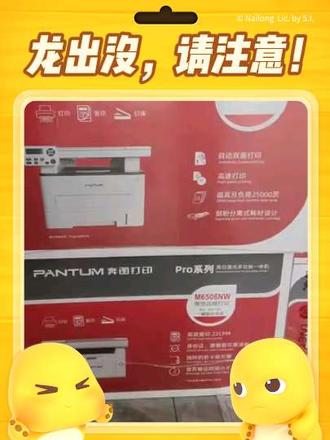 奔图性价比高的打印机#打印机推荐