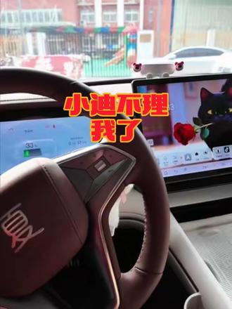 呼叫小迪没反应了,快看看是不是这个的设置到期了#比亚迪#比亚迪夏#每天一个用车知识 #用车知识 #汽车知识