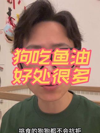 狗吃鱼油,好处很多 #新手养狗 #科学养狗 #狗掉毛 #宠物鱼油