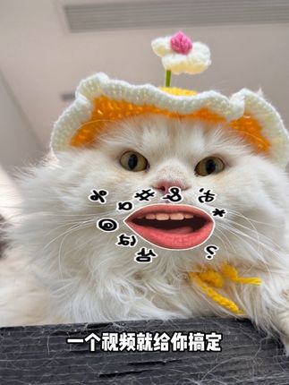 就这小小的化毛球片,我家猫吃完就真的把毛球排出来了#萌宠好物 #新手养猫 #养猫经验分享 #普安特化毛球片 #猫咪排毛球